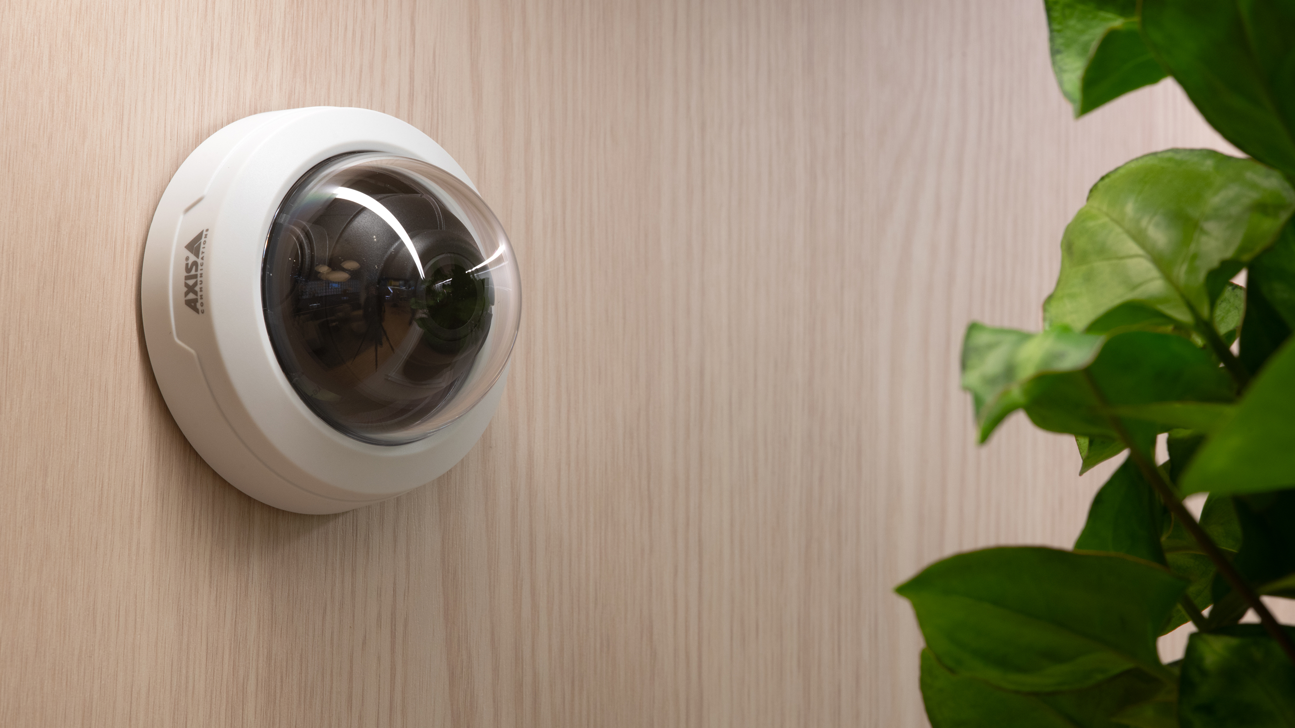 デイトナ(Daytona) AXIS Z(17-21)専用 クランプバー マルチ