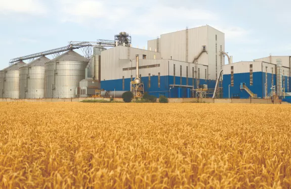 Tall silos in wheat field
