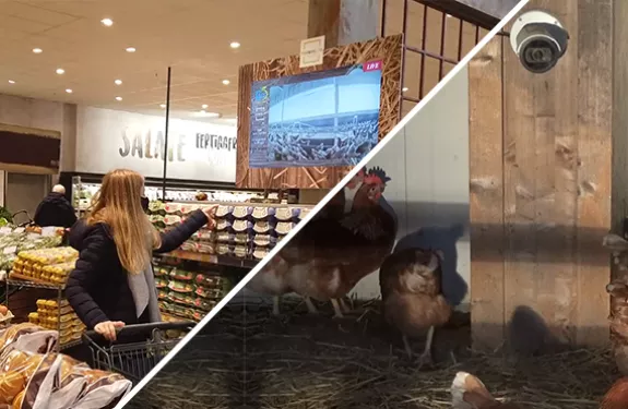 Netzwerk-Kamera im Einsatz am Bauernhof