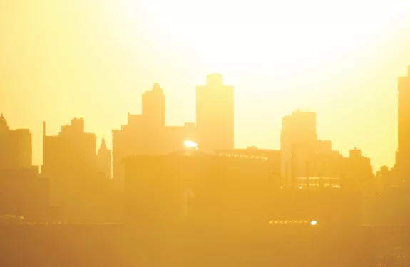 Using video surveillance technology for environmental monitoring and resilience in cities 