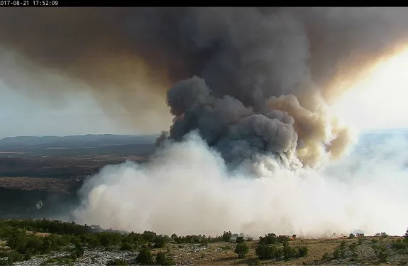 Forest fire detected by a security camera