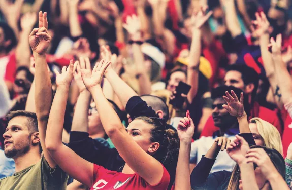 Crowd at stadium event