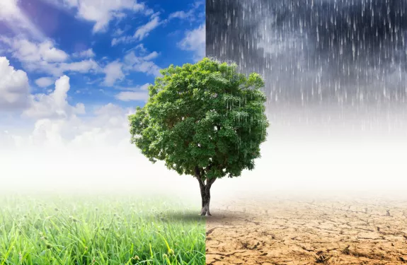 Climate_crisis_change_sustainability