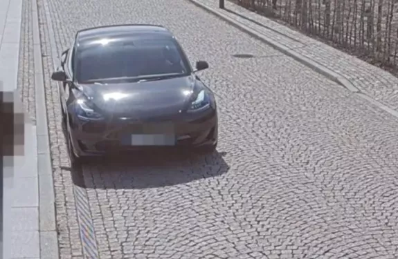 AXIS Live Privacy Shield