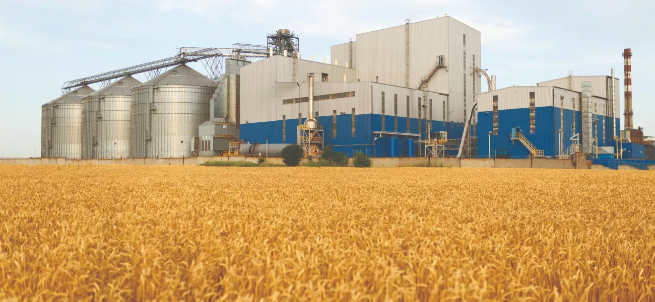 Tall silos in wheat field