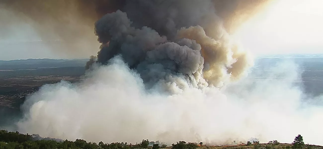 Forest fire, smoke