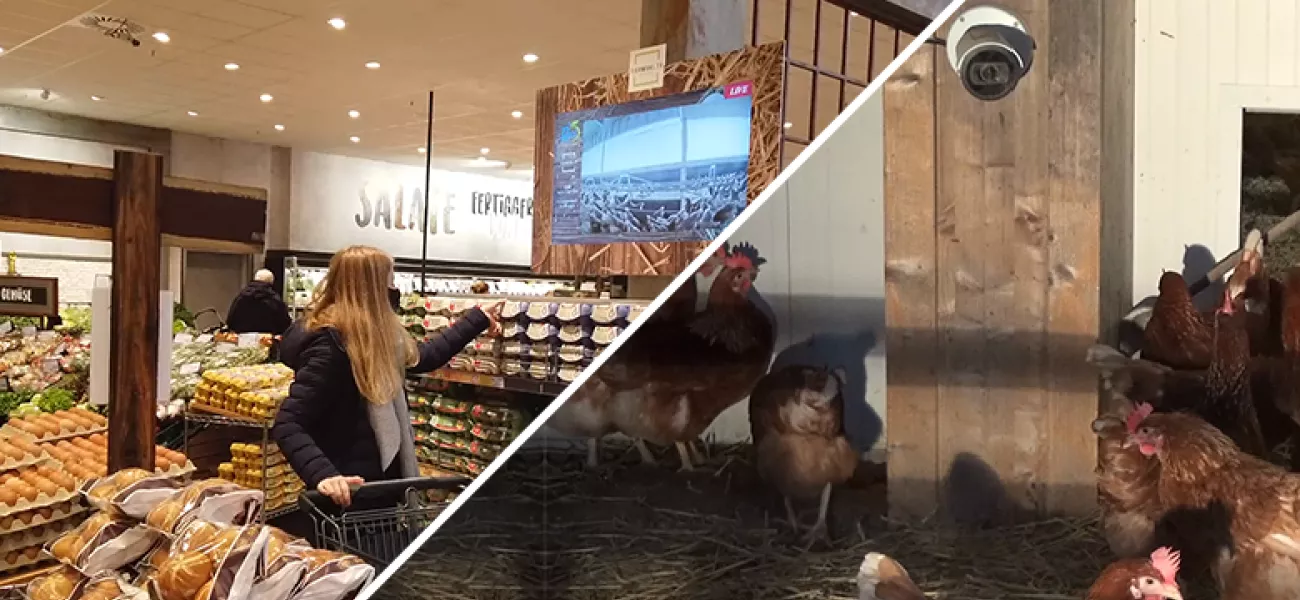 Netzwerk-Kamera im Einsatz am Bauernhof