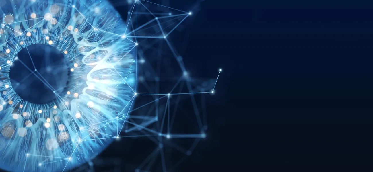 Iris scanning as a biometric access control method
