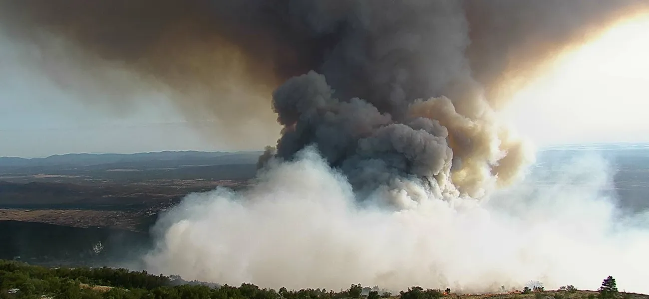 Forest fire detected by a security camera