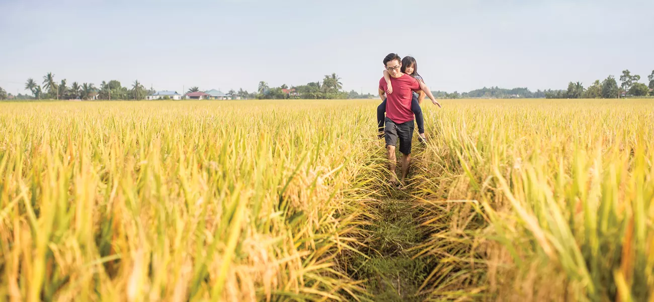 Axis sustainability report 2020