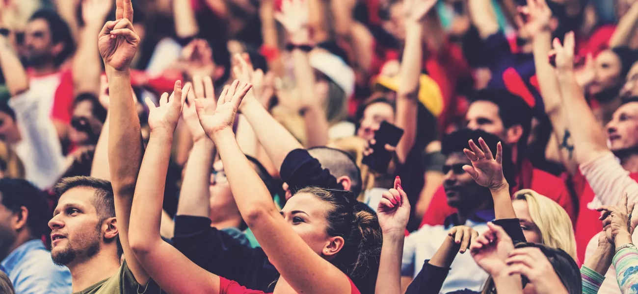 Crowd at stadium event