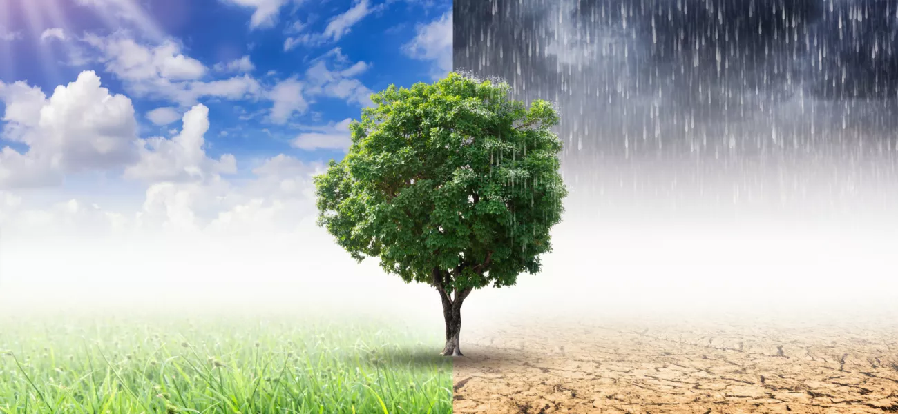 Climate_crisis_change_sustainability