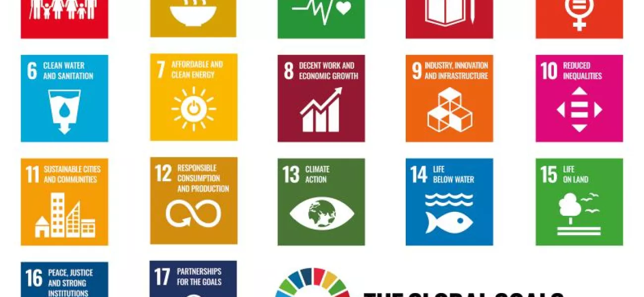 The global goals