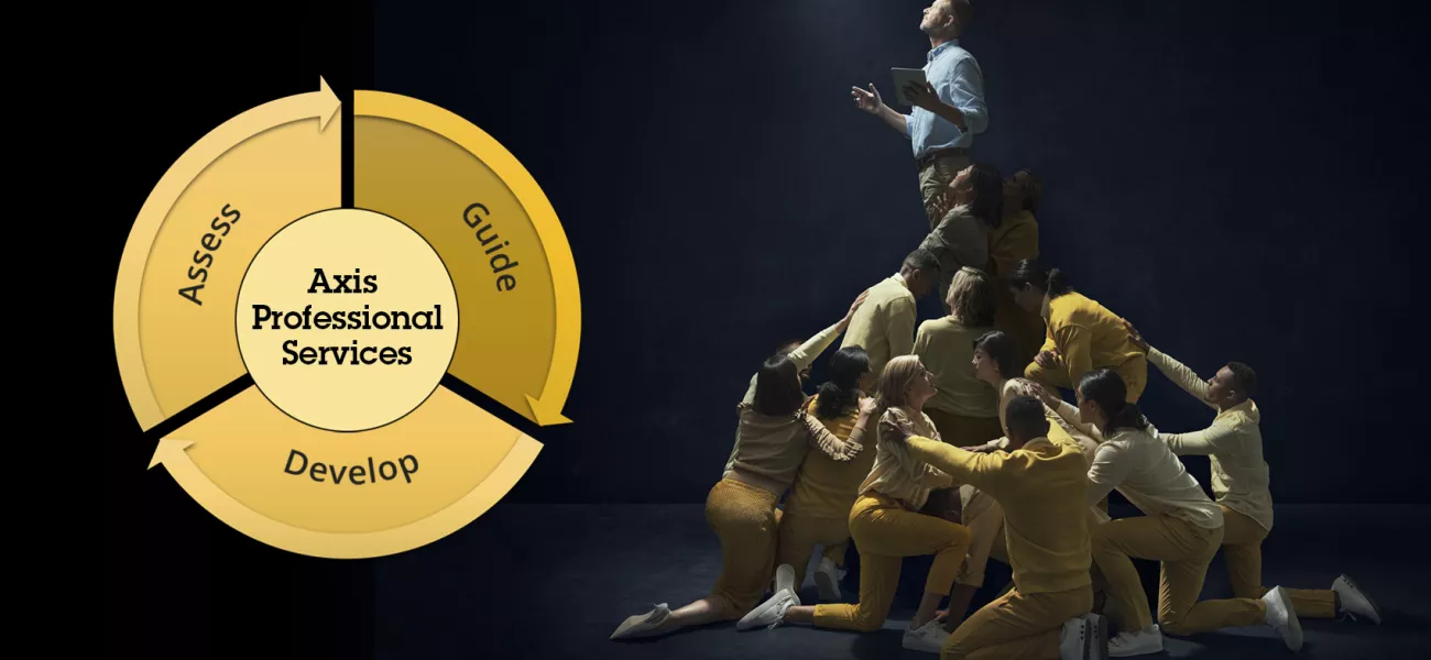 AXIS Professional Services