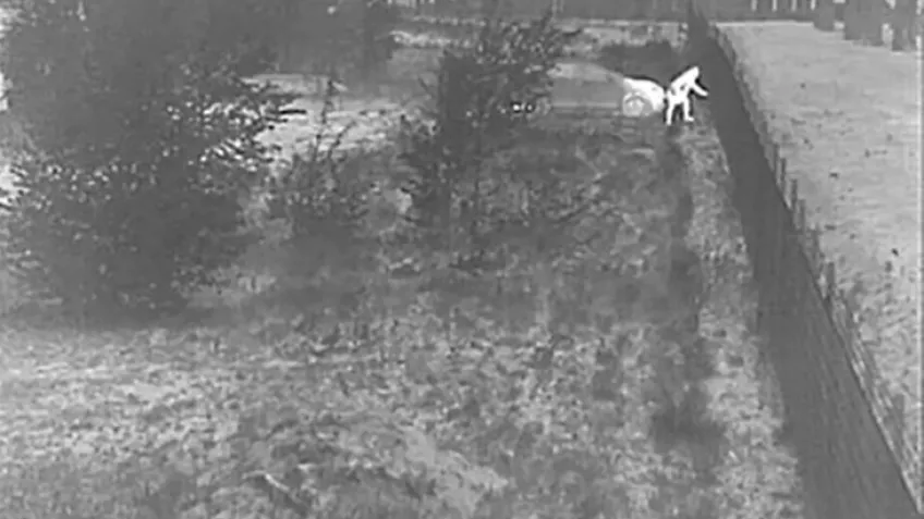 Perimeter detection with thermal camera