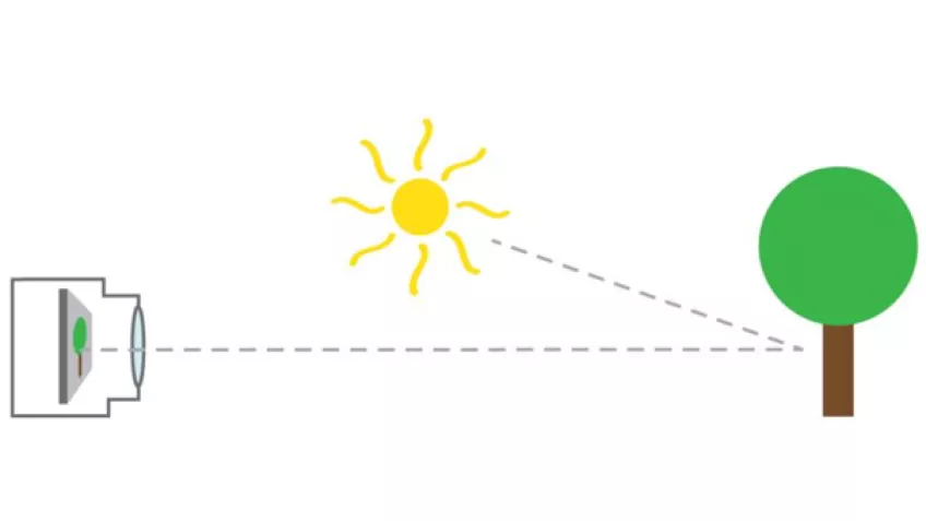 L'édito de Dominique : Que la lumière soit ! Et vous restez encore dans le noir ?