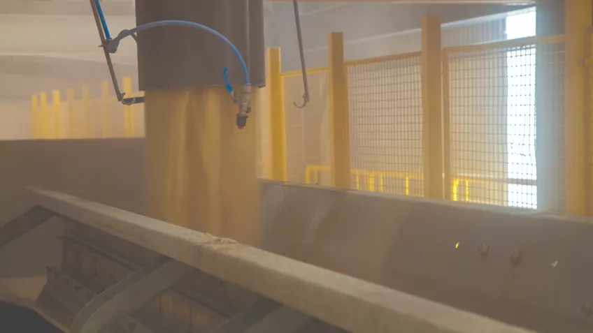 Sugar factory conveyor 