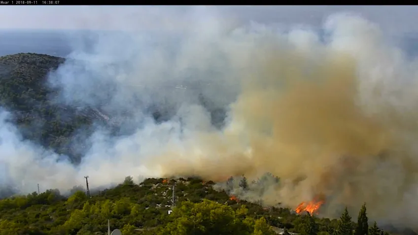 A forest fire detected early with the help of network cameras and sensors