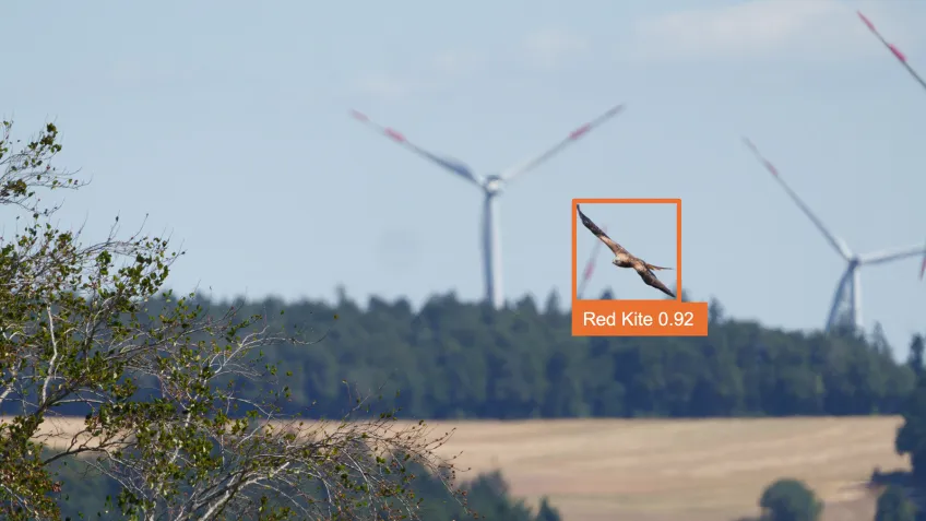In Gebieten mit windsensiblen Vogelarten stellt die Vermeidung von Kollisionen eine der größten Hürden für den Betrieb und die Genehmigung von Windparks dar.