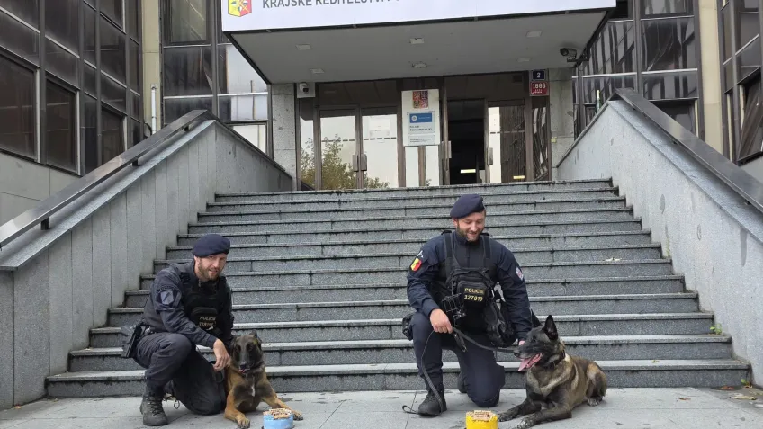 Nejlepsidukaz.cz (Harley a Bobík)