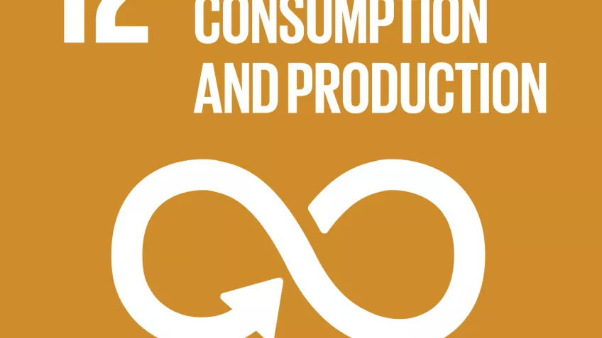 The 12th UN goal named responsible consumption and production
